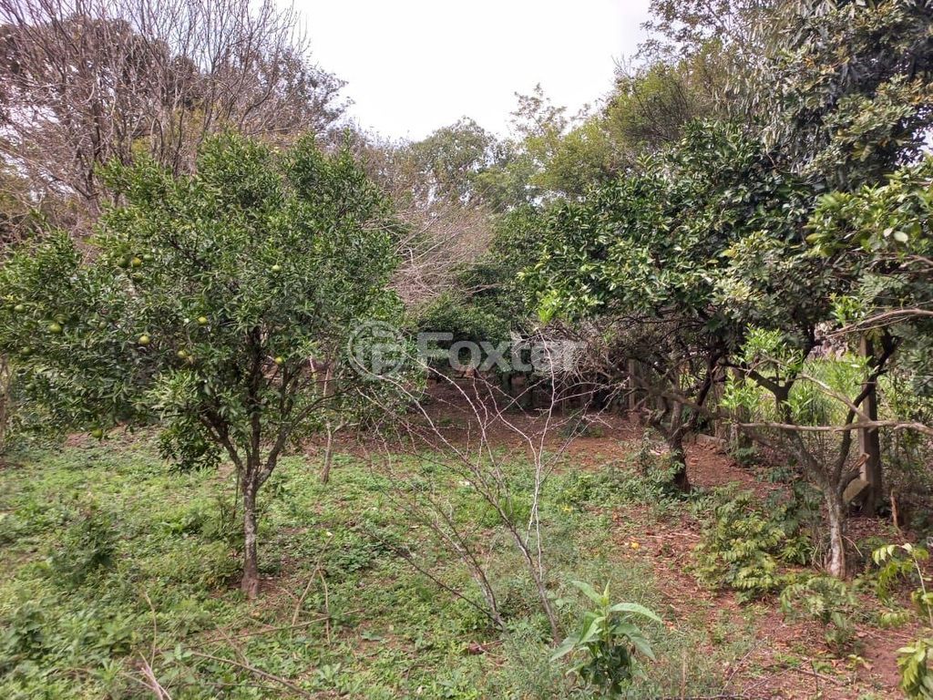 sitio chachara fazenda para comprar em Cézar Cambruzzi, 415 - foto 12