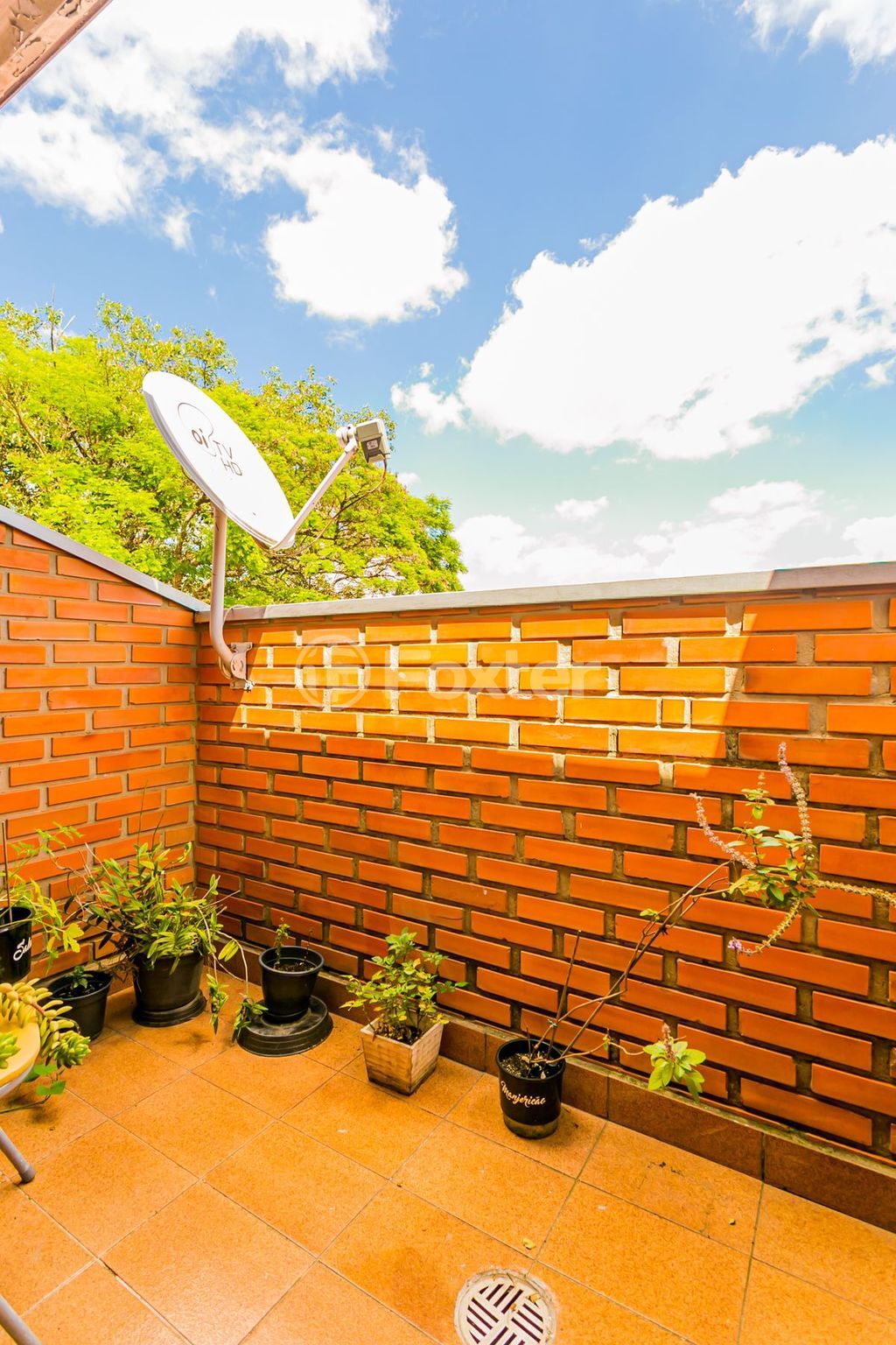casa sobrado para comprar em Pedro Souza, 156 - foto 13
