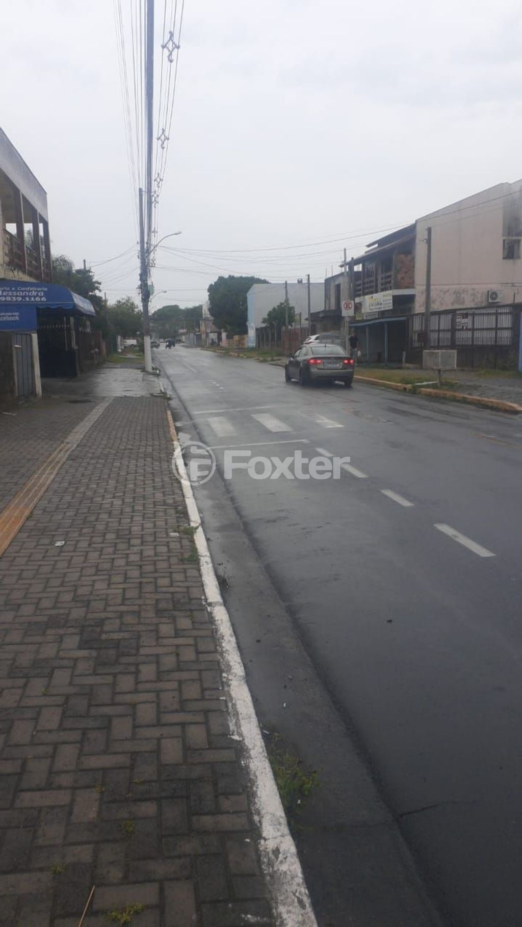 terreno lote condominio para comprar em Palmeiras, 270 - foto 6