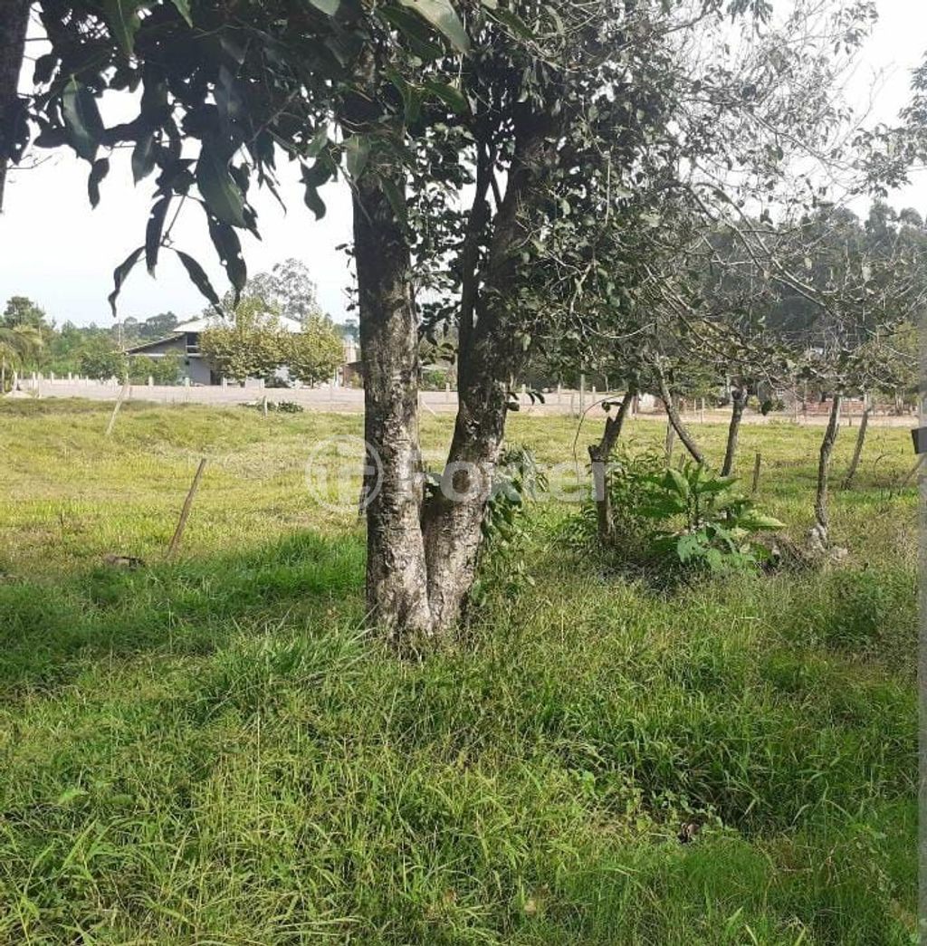 sitio chachara fazenda para comprar em Arminda Hartz, 1070 - foto 6