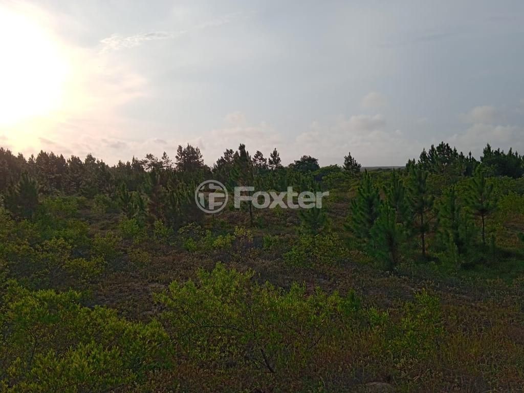 terreno lote condominio para comprar em RS-784, KM 6 - foto 14