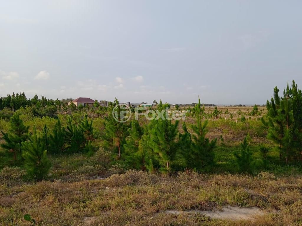 terreno lote condominio para comprar em RS-784, KM 6 - foto 10