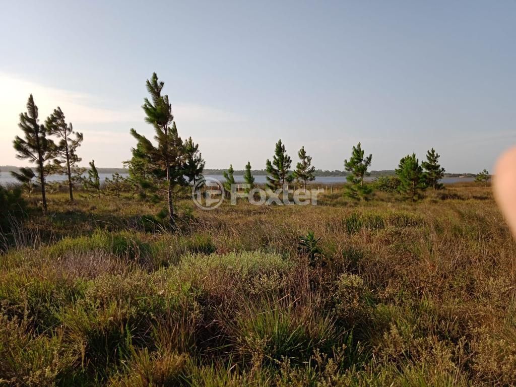 terreno lote condominio para comprar em RS-784, KM 6 - foto 9