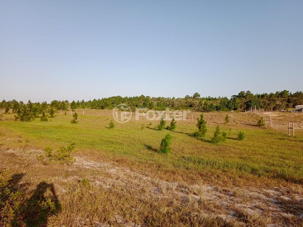 terreno lote condominio para comprar em RS-784, KM 6 - foto 13