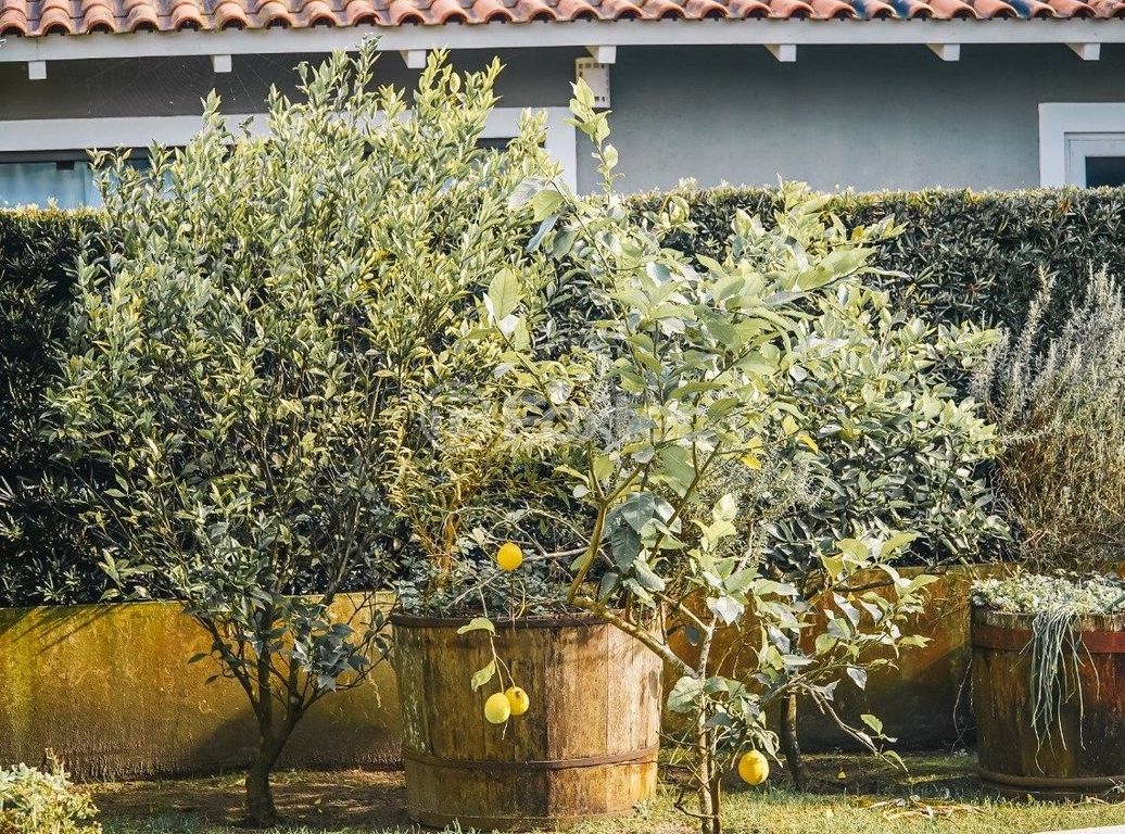 Casa em condominio para comprar em Interbalneários, 412 - foto 39