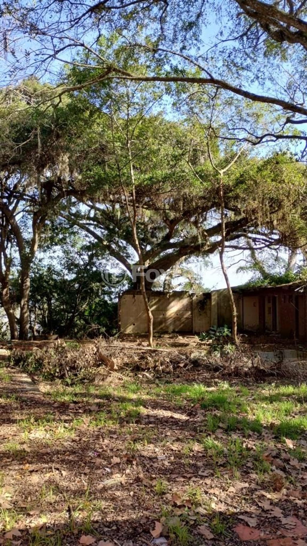 terreno lote condominio para comprar em Coronel Marcos, 1109 - foto 8