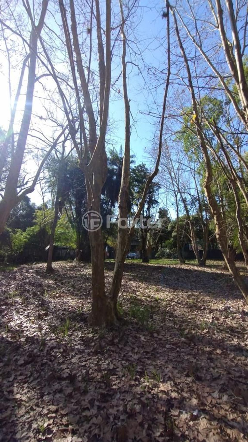 terreno lote condominio para comprar em Coronel Marcos, 1109 - foto 9