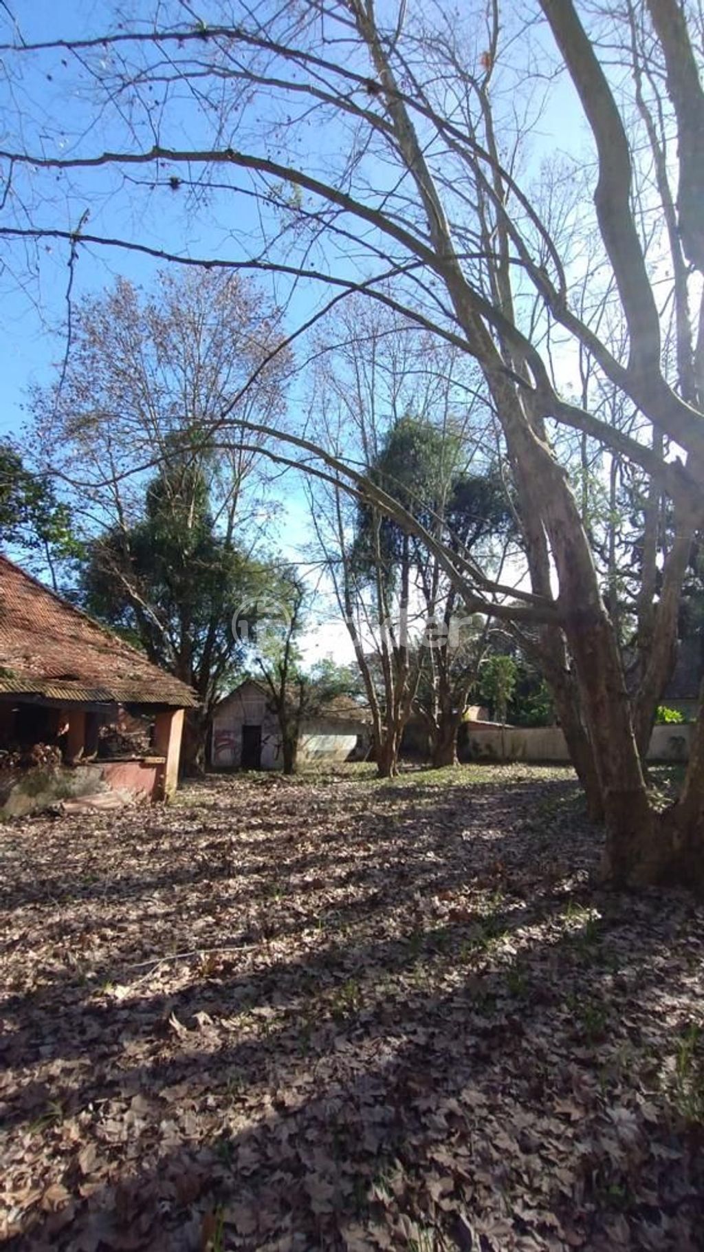 terreno lote condominio para comprar em Coronel Marcos, 1109 - foto 10
