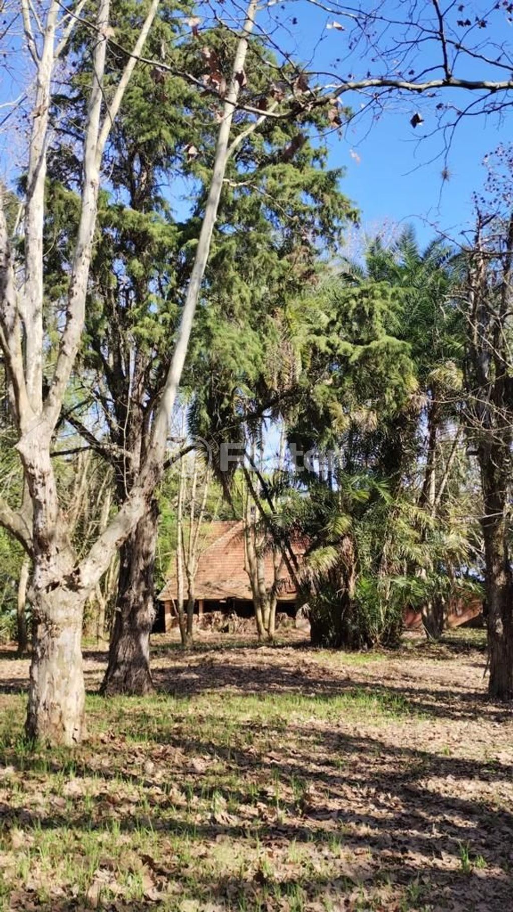 terreno lote condominio para comprar em Coronel Marcos, 1109 - foto 11