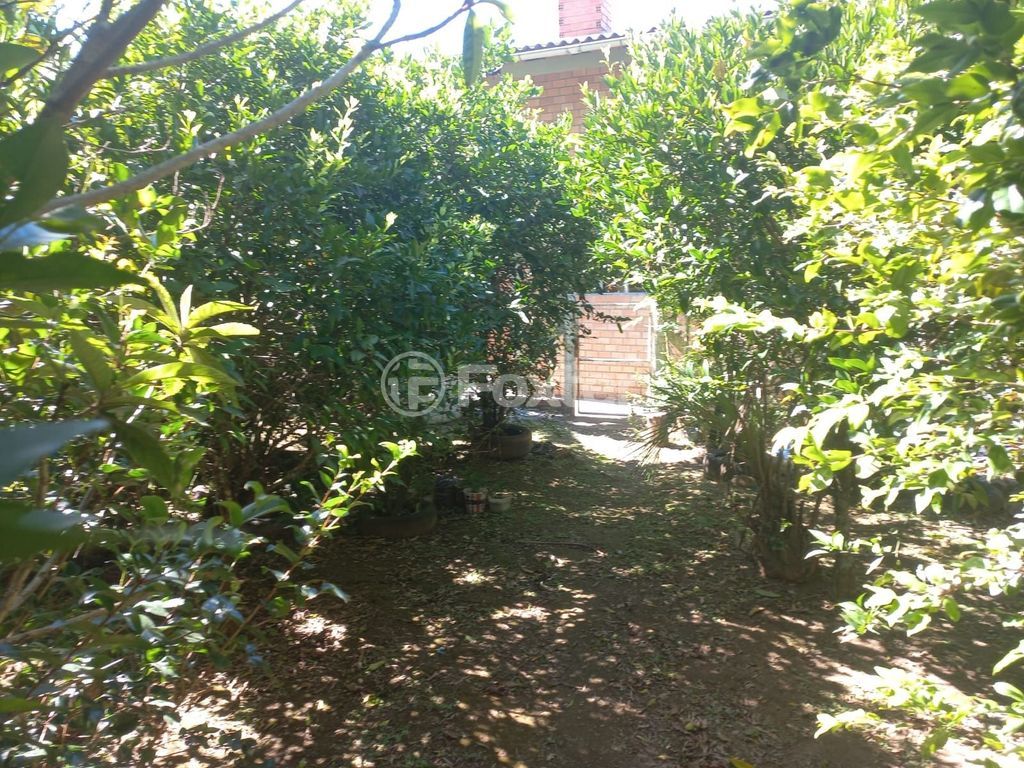 Foto do Anuncio