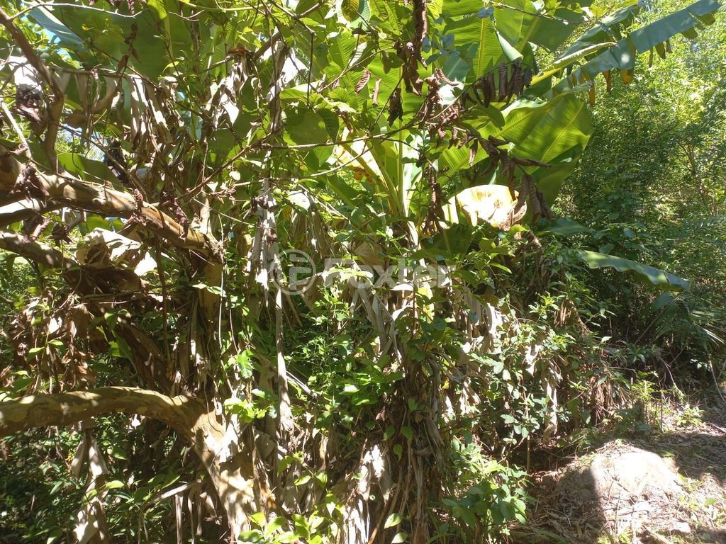 sitio chachara fazenda para comprar em RS-030, 1250 - foto 60