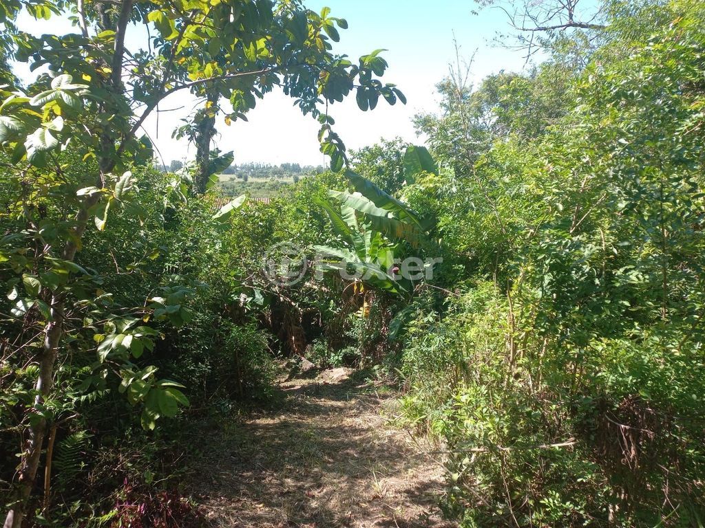sitio chachara fazenda para comprar em RS-030, 1250 - foto 65