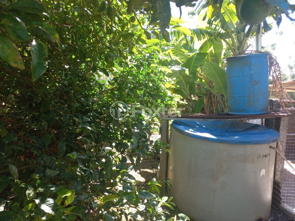 sitio chachara fazenda para comprar em RS-030, 1250 - foto 62