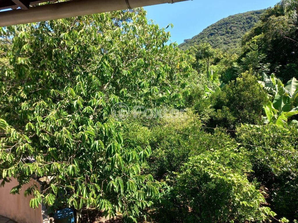 sitio chachara fazenda para comprar em RS-030, 1250 - foto 63