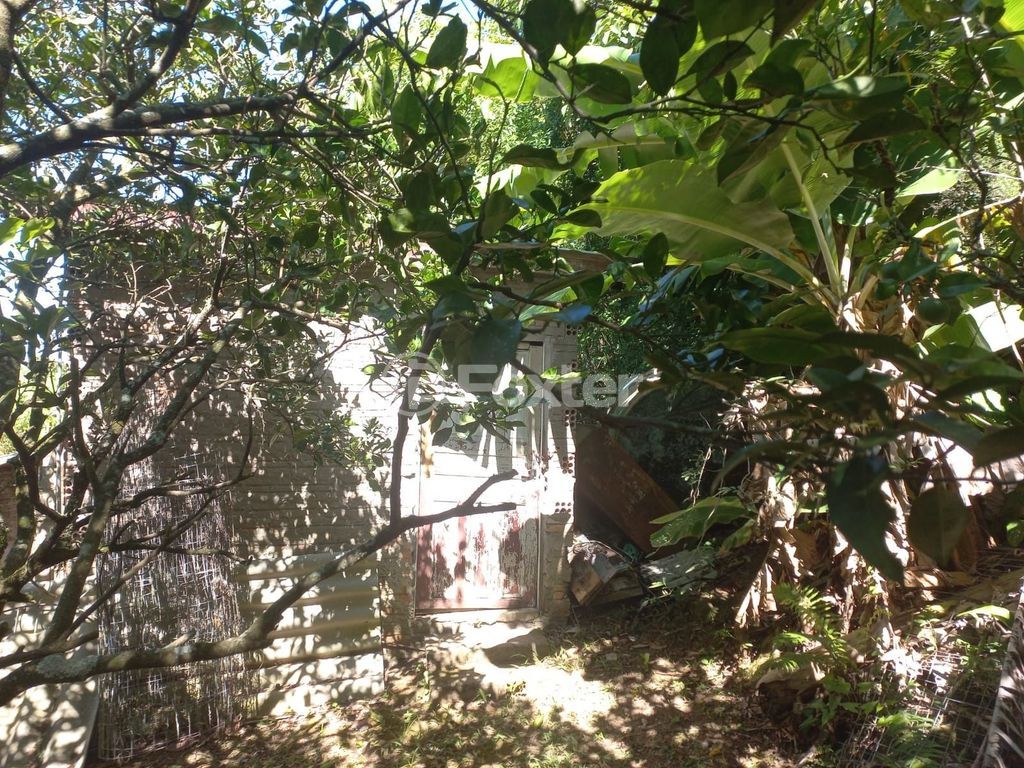 sitio chachara fazenda para comprar em RS-030, 1250 - foto 67