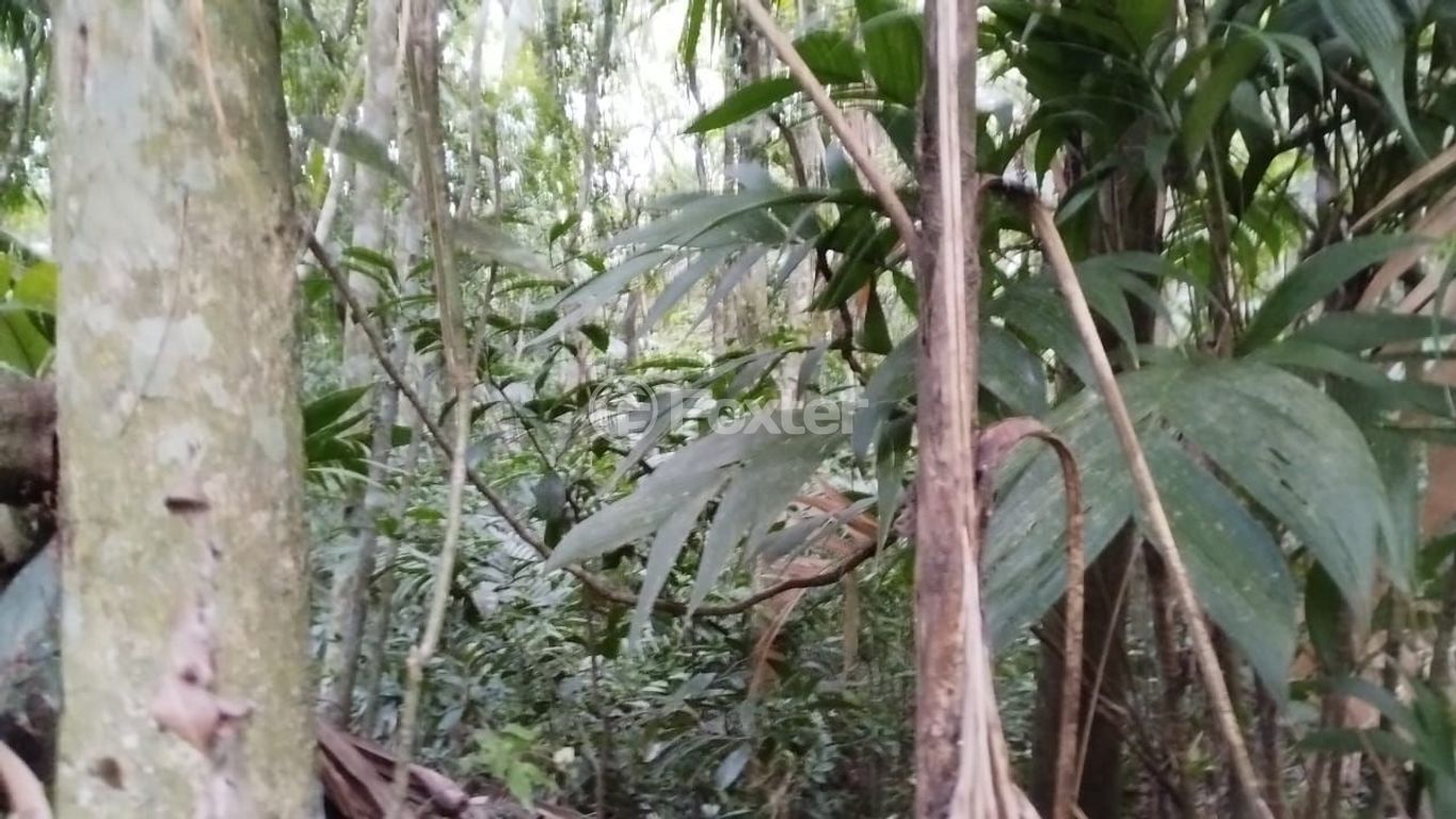 Foto do Anuncio