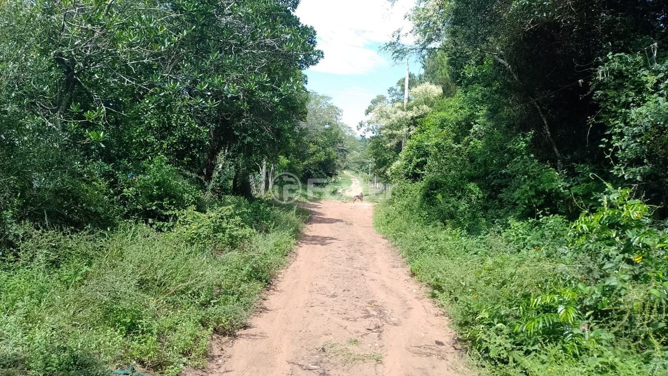 Foto do Anuncio