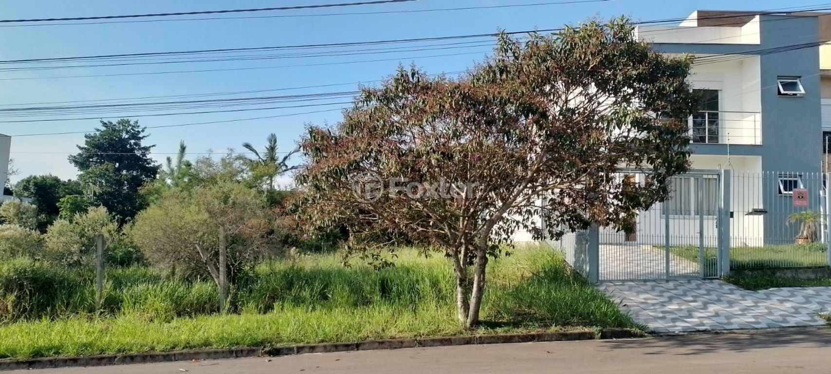 Foto 0