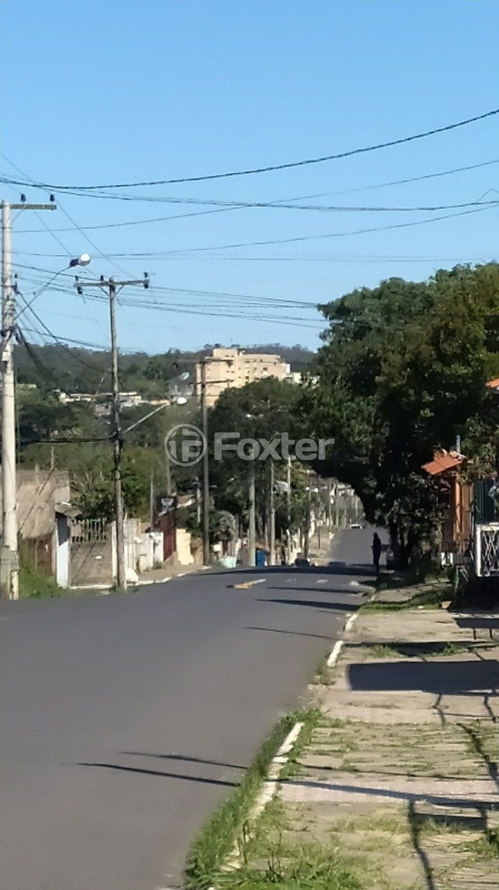 terreno lote condominio para comprar em Wenceslau, 447 - foto 10