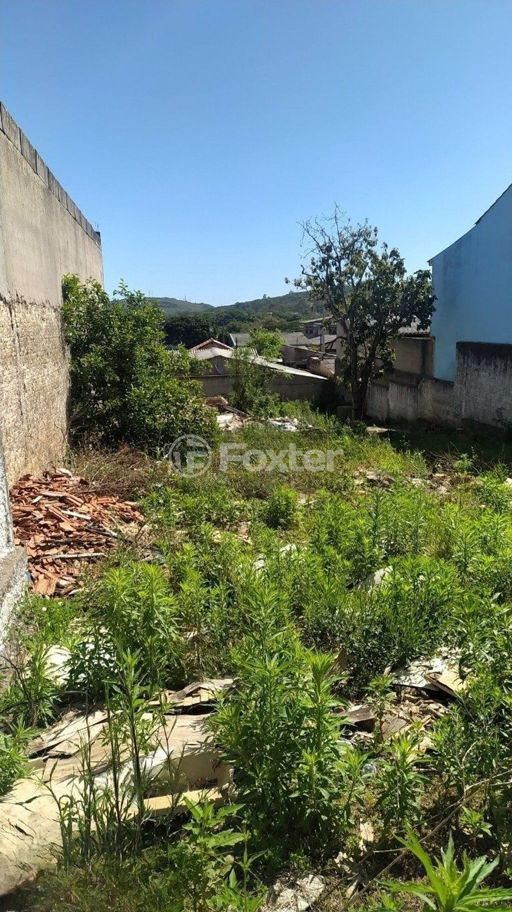 terreno lote condominio para comprar em Wenceslau, 447 - foto 7