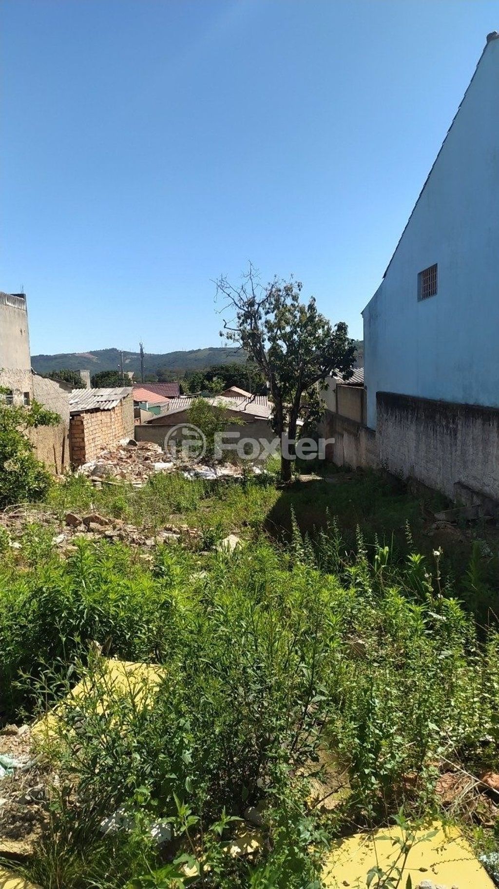 terreno lote condominio para comprar em Wenceslau, 447 - foto 8