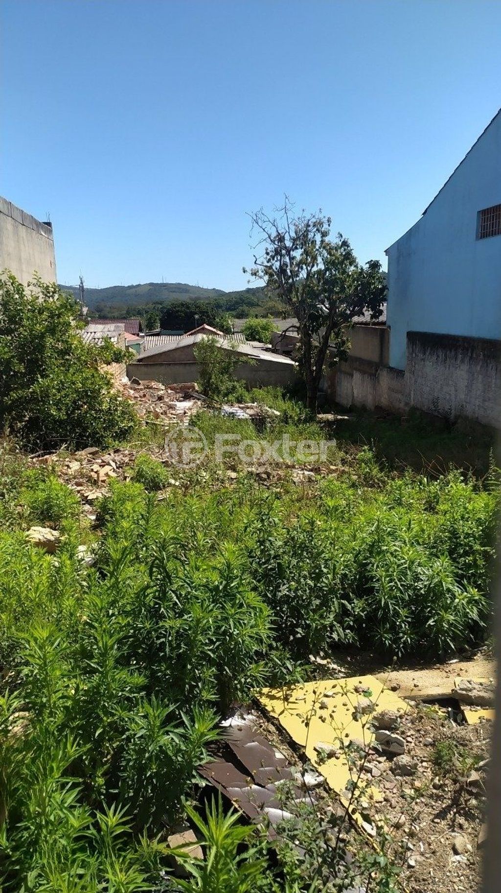 terreno lote condominio para comprar em Wenceslau, 447 - foto 9