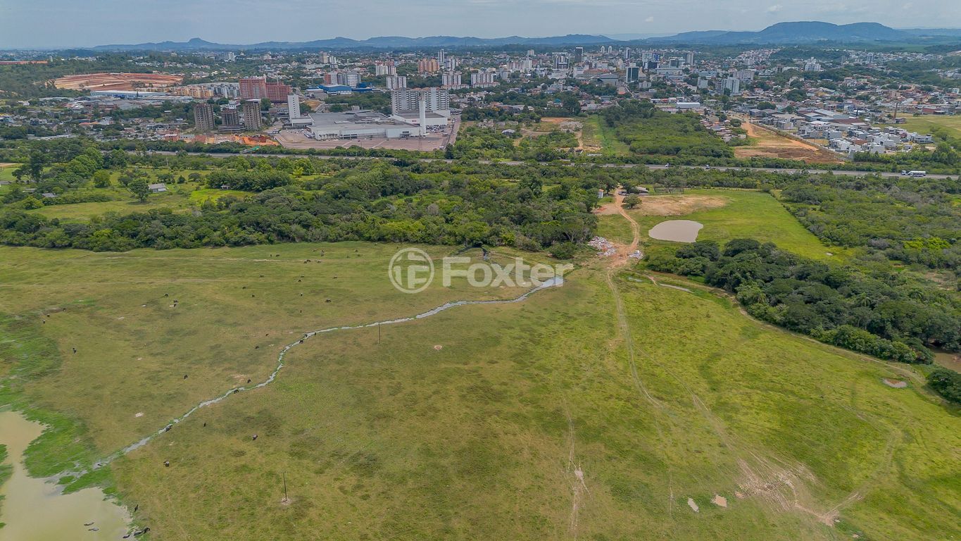sitio chachara fazenda para comprar em dos Funcionários, 1600 - foto 17