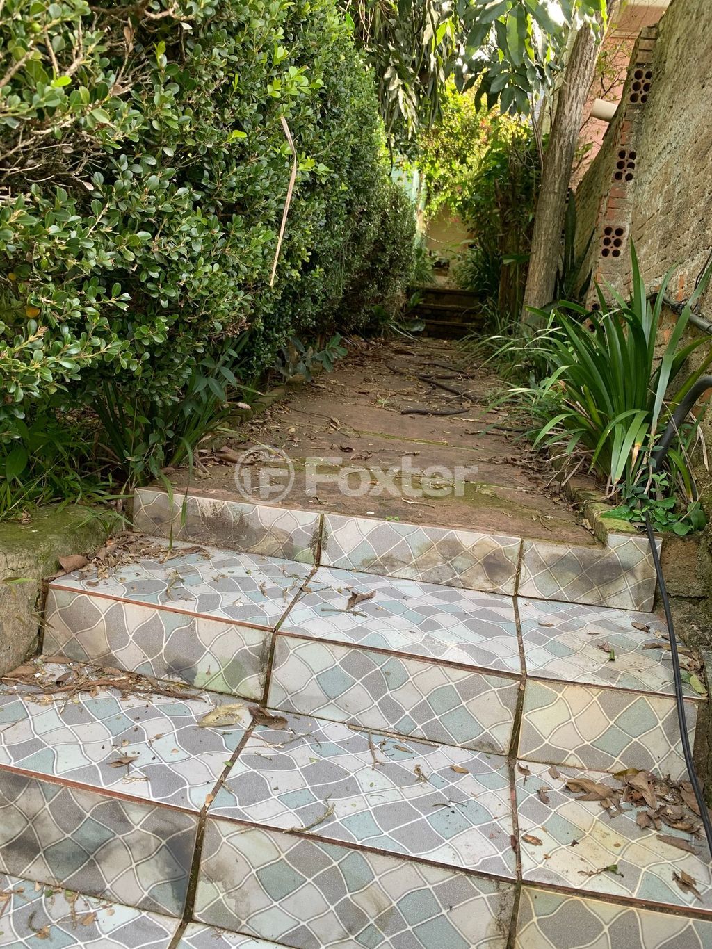 casa sobrado para comprar em São Lucas, 255 - foto 25