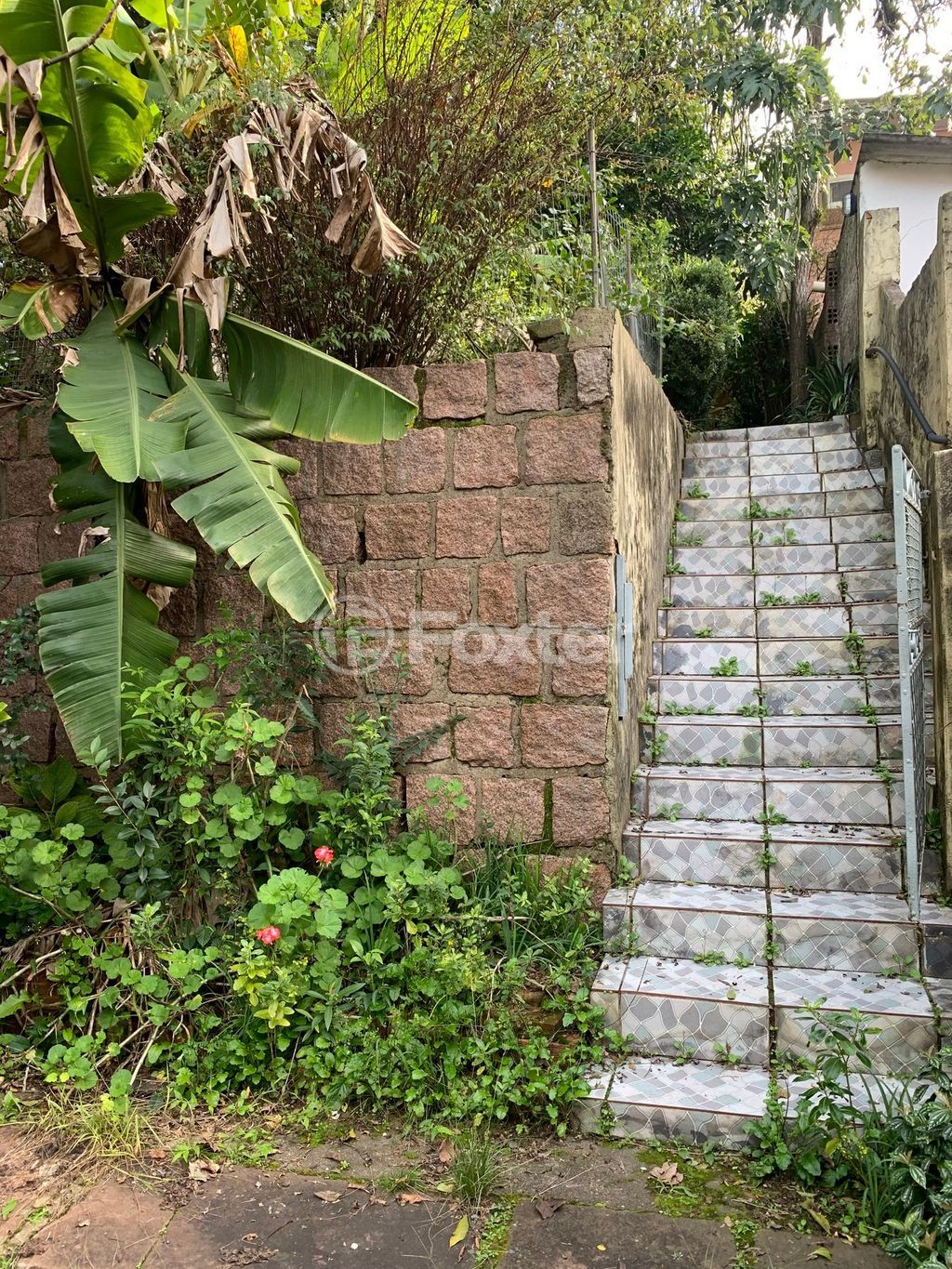 casa sobrado para comprar em São Lucas, 255 - foto 24