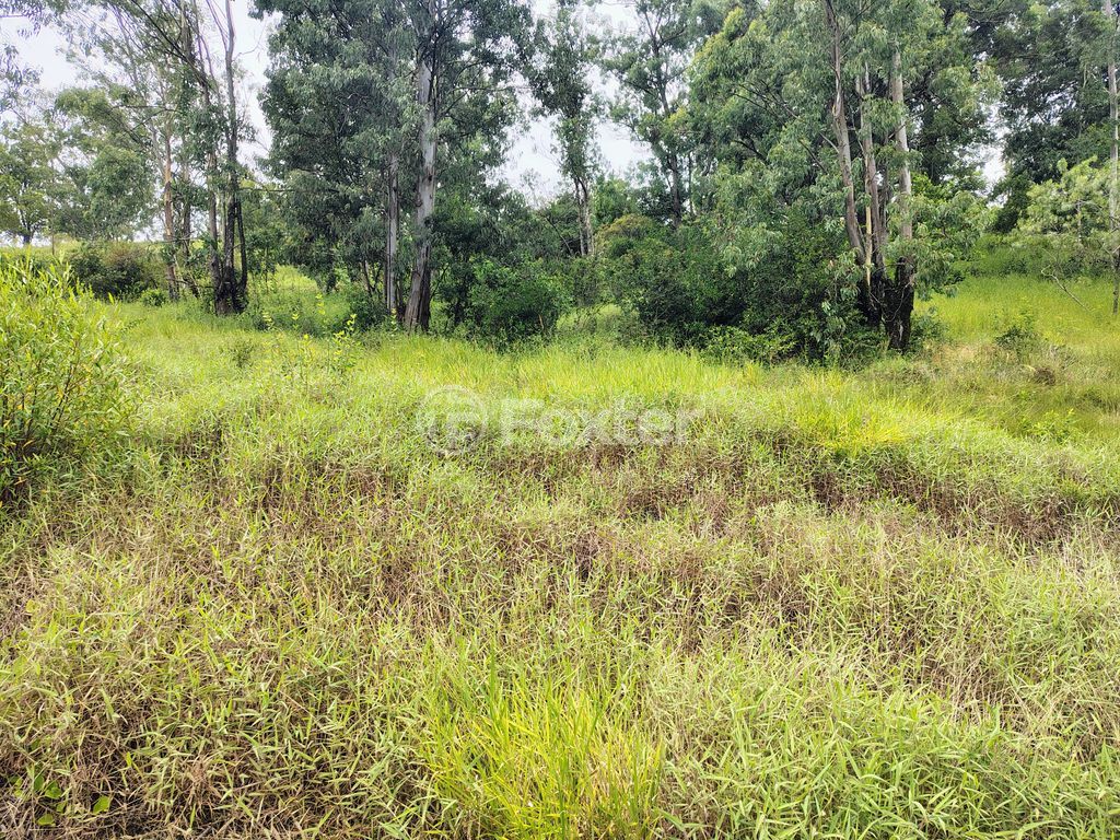 terreno lote condominio para comprar em Liberdade, 4000 - foto 15