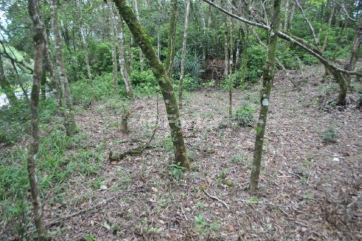 terreno lote condominio para comprar em VRS-873, KM 03 - foto 10