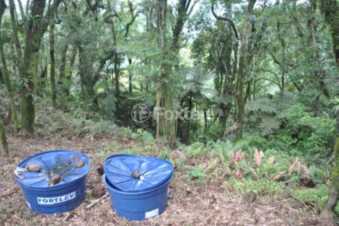 terreno lote condominio para comprar em VRS-873, KM 03 - foto 7