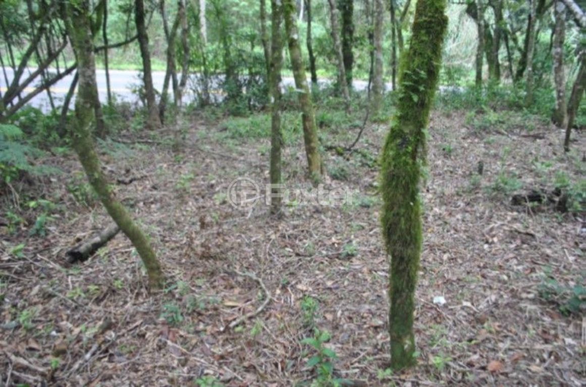 terreno lote condominio para comprar em VRS-873, KM 03 - foto 9