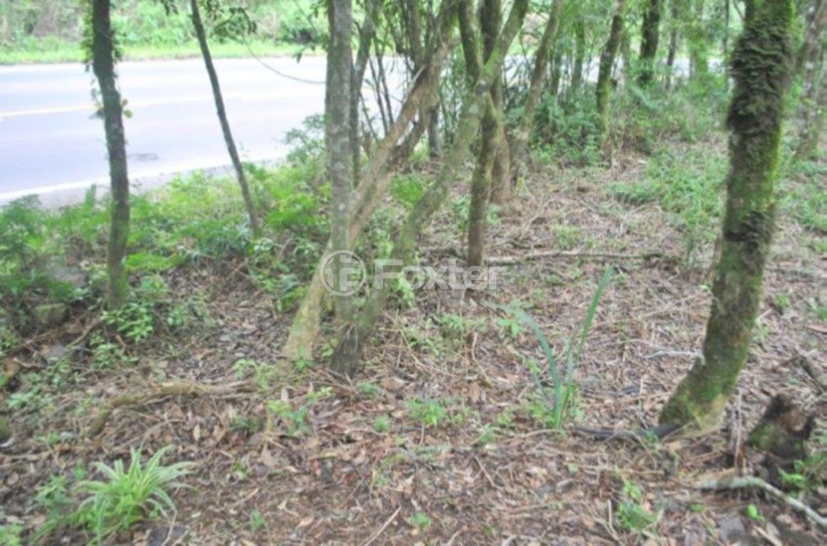 terreno lote condominio para comprar em VRS-873, KM 03 - foto 8