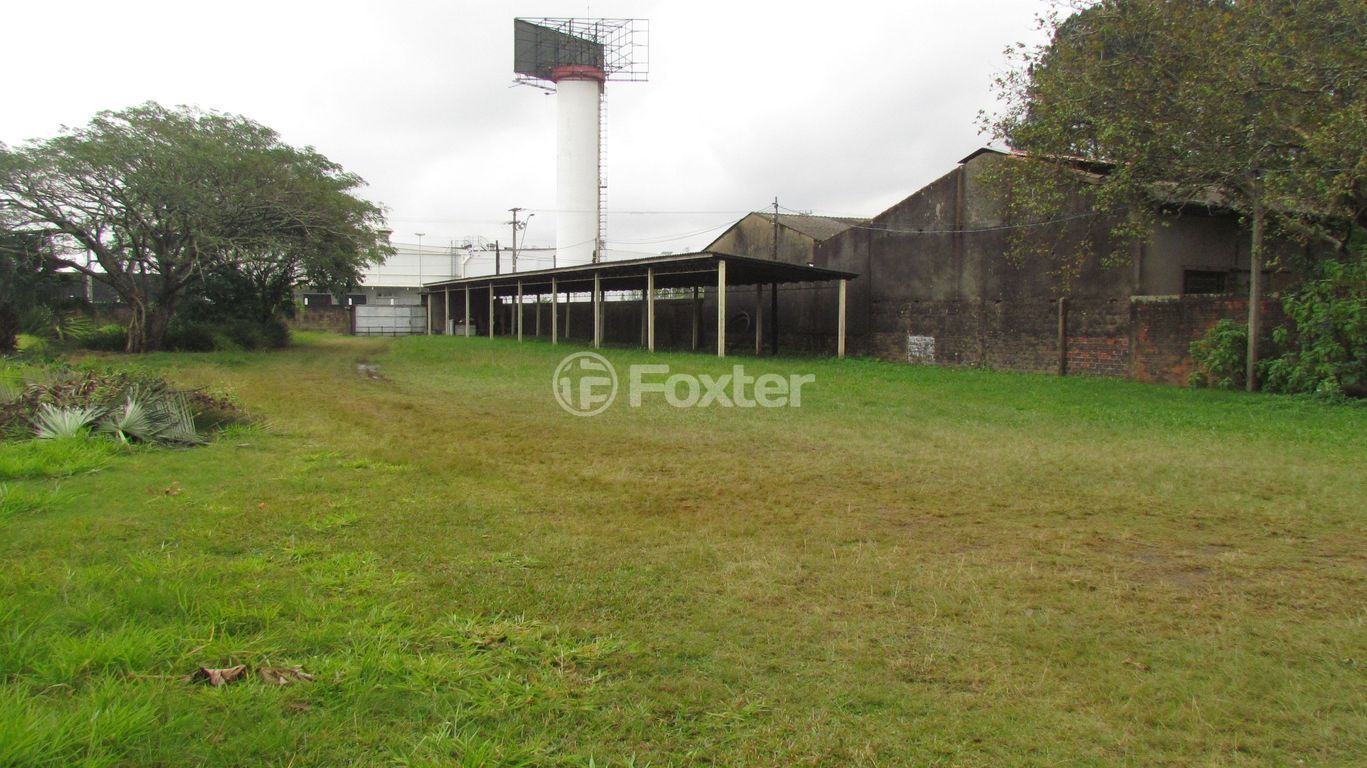 sitio chachara fazenda para comprar em Nutrella, 1460 - foto 6