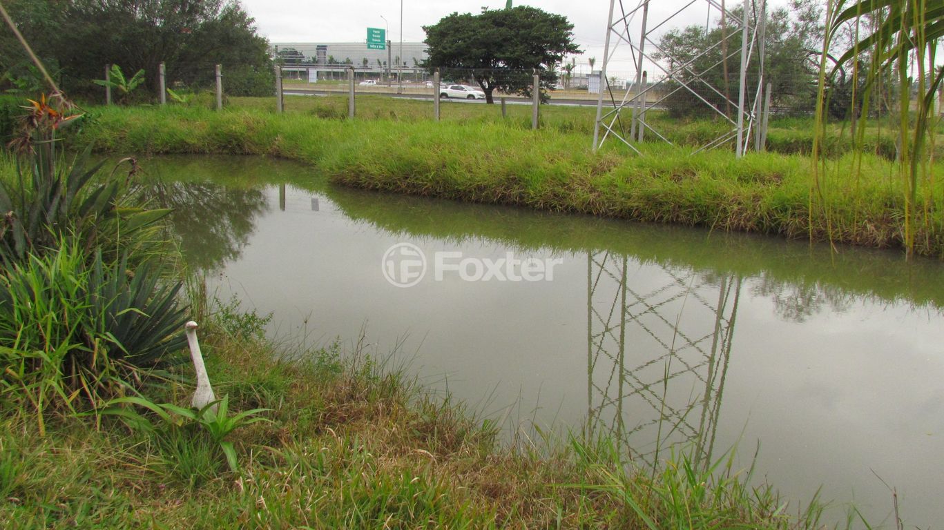 sitio chachara fazenda para comprar em Nutrella, 1460 - foto 7