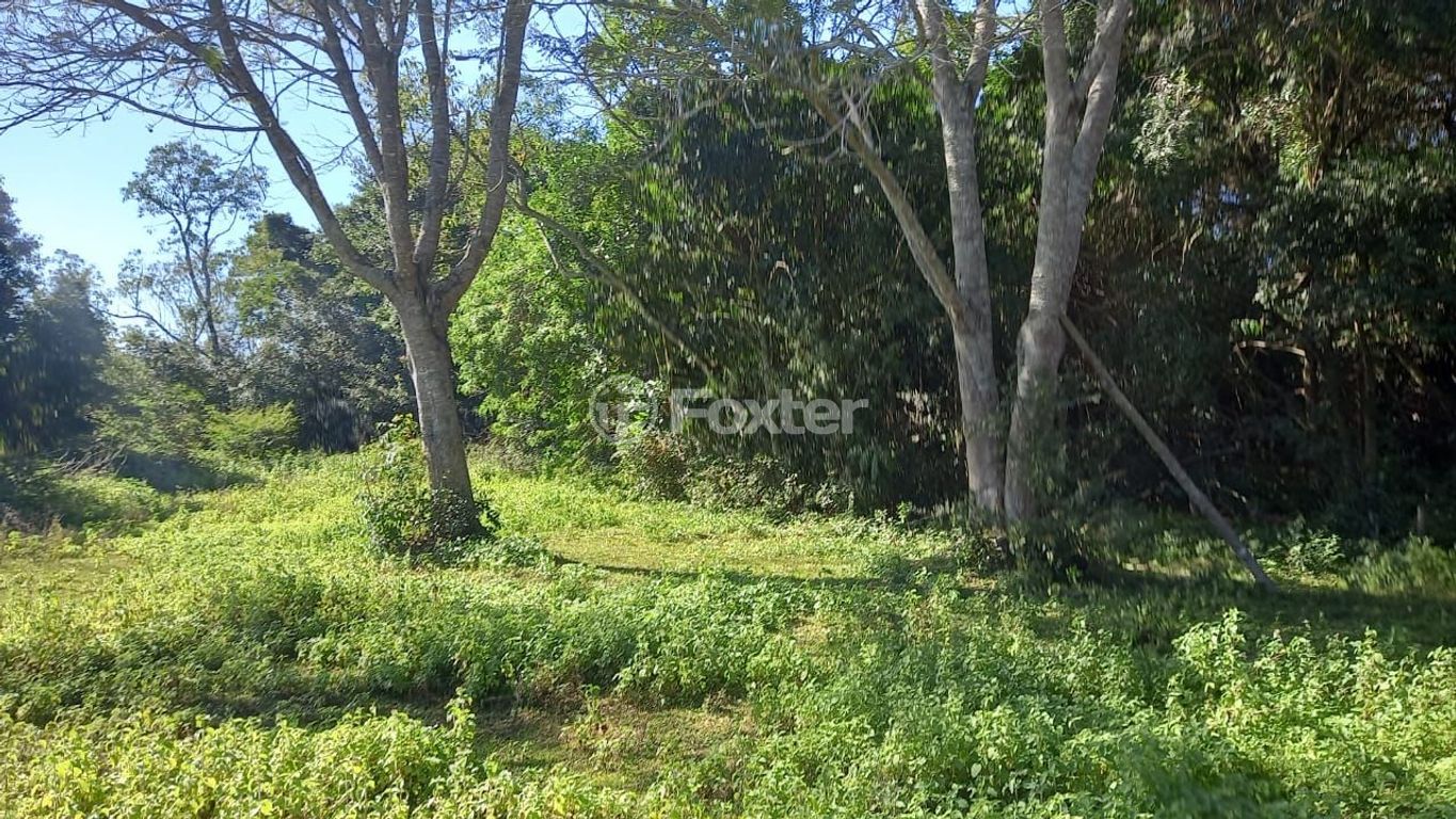 sitio chachara fazenda para comprar em Augusto dos Anjos, 2490 - foto 6