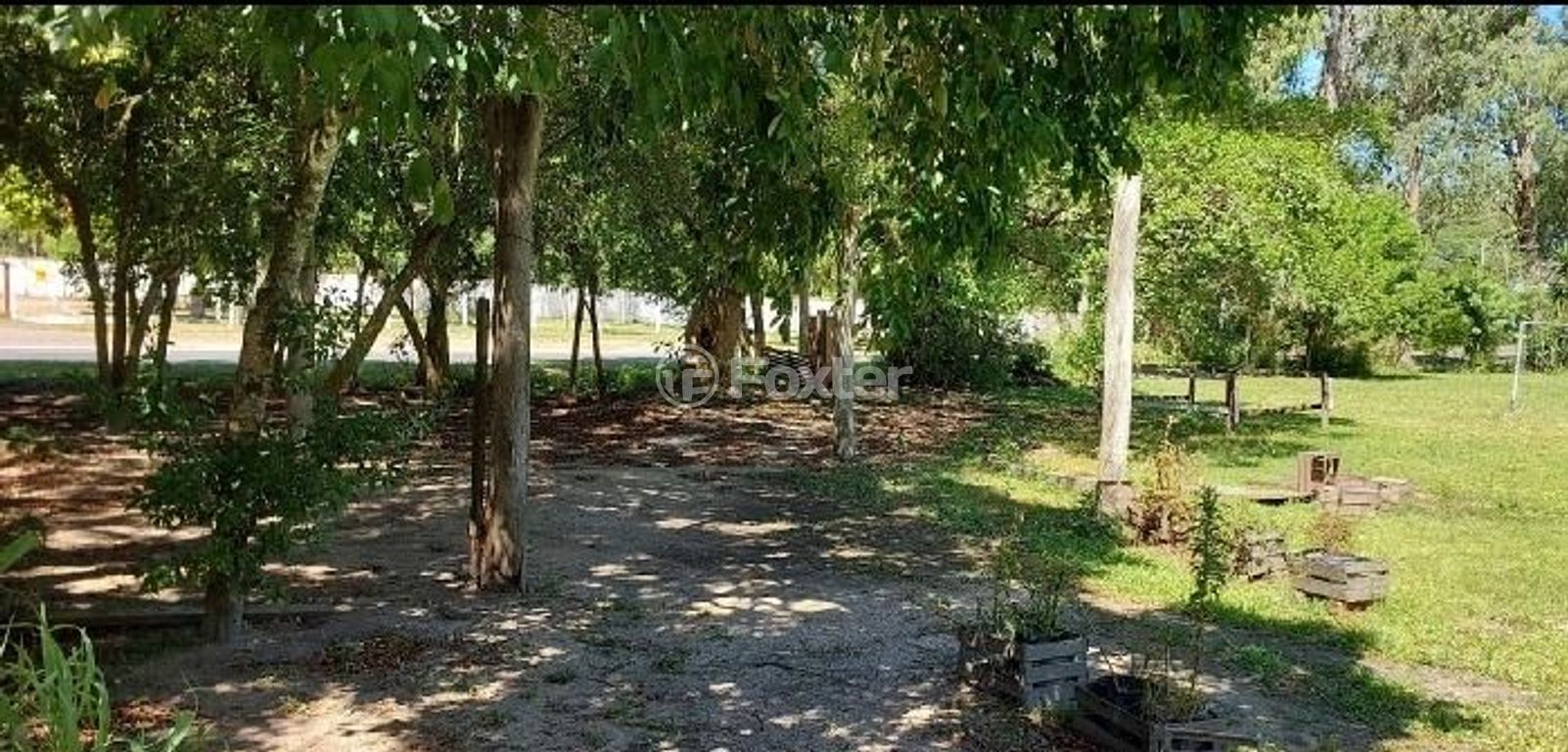 sitio chachara fazenda para comprar em Edgar Pires de Castro, 11541 - foto 7