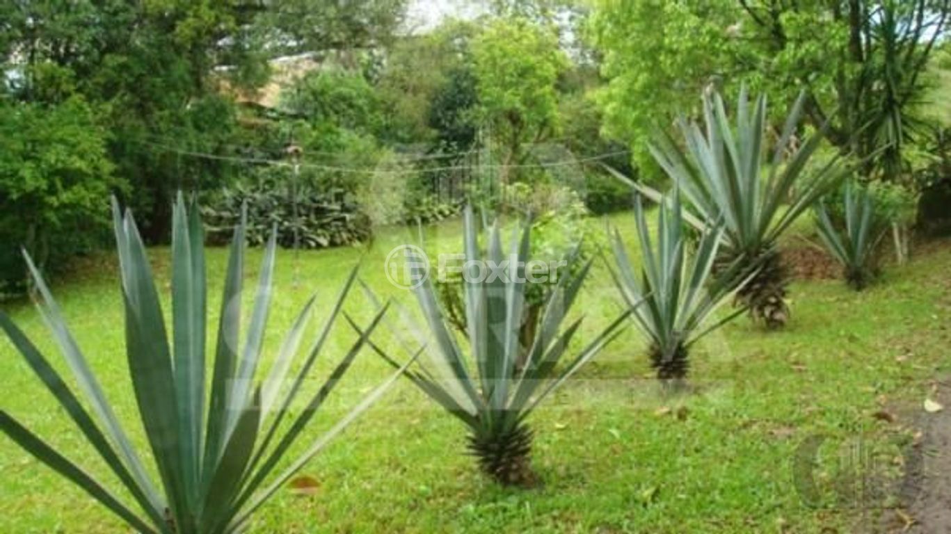 terreno lote condominio para comprar em João de Oliveira Remião, 6050 - foto 9