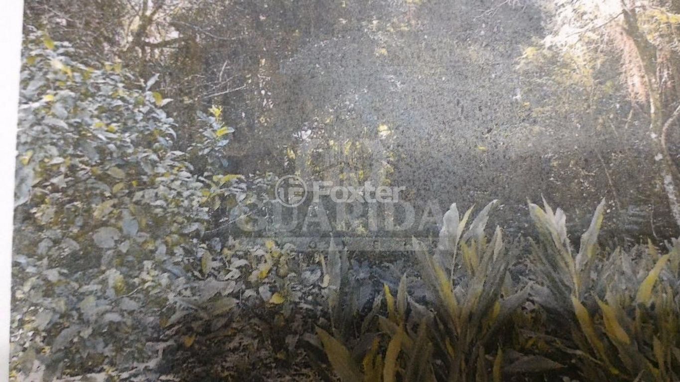 Foto do Anuncio