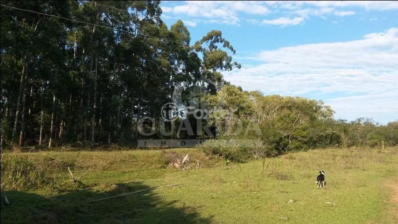 terreno lote condominio para comprar em Francisca de Oliveira Vieira, 2485 - foto 10