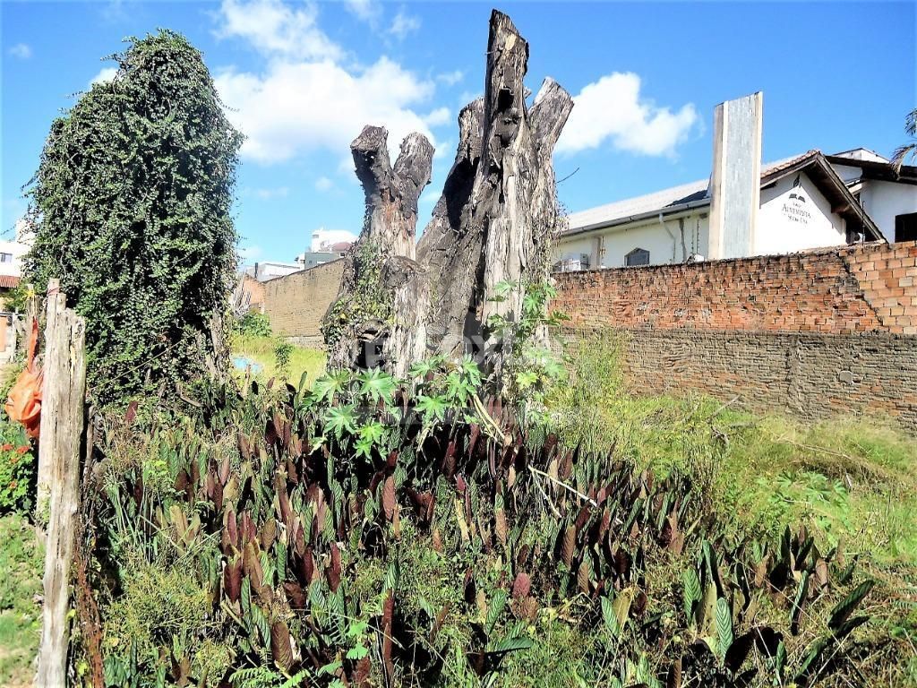 terreno lote condominio para comprar em Upamaroti, 778 - foto 10