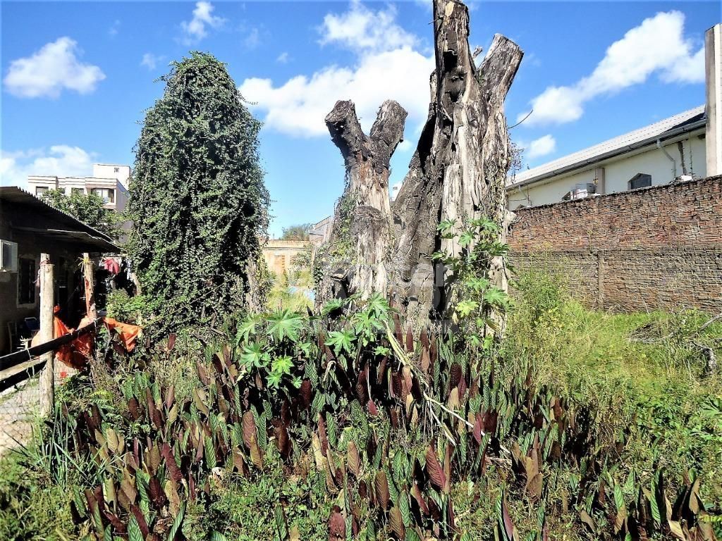 terreno lote condominio para comprar em Upamaroti, 778 - foto 12
