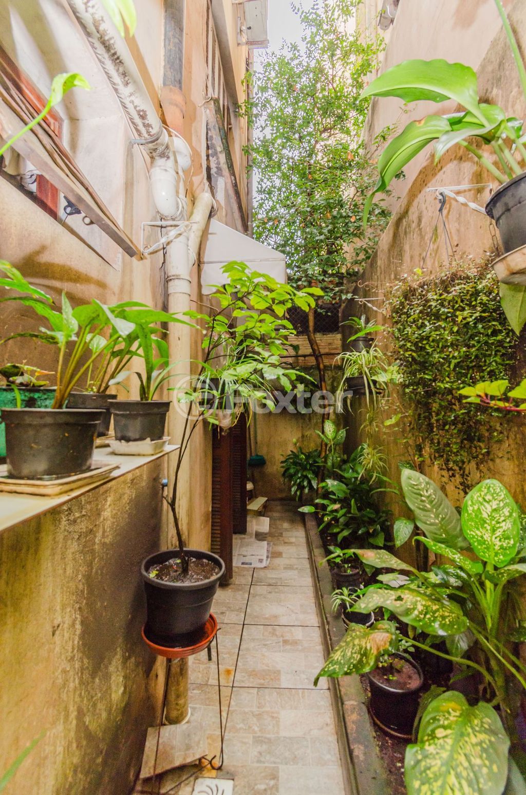 Apartamento para comprar em PROTASIO ALVES, 1469 - foto 20
