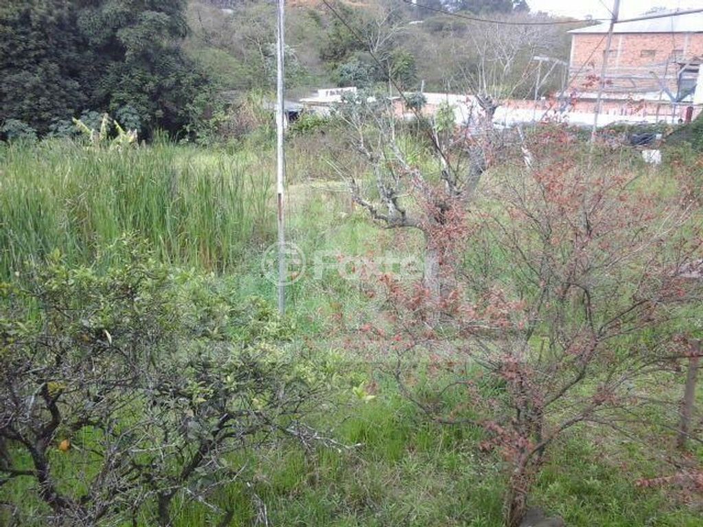 Foto 0