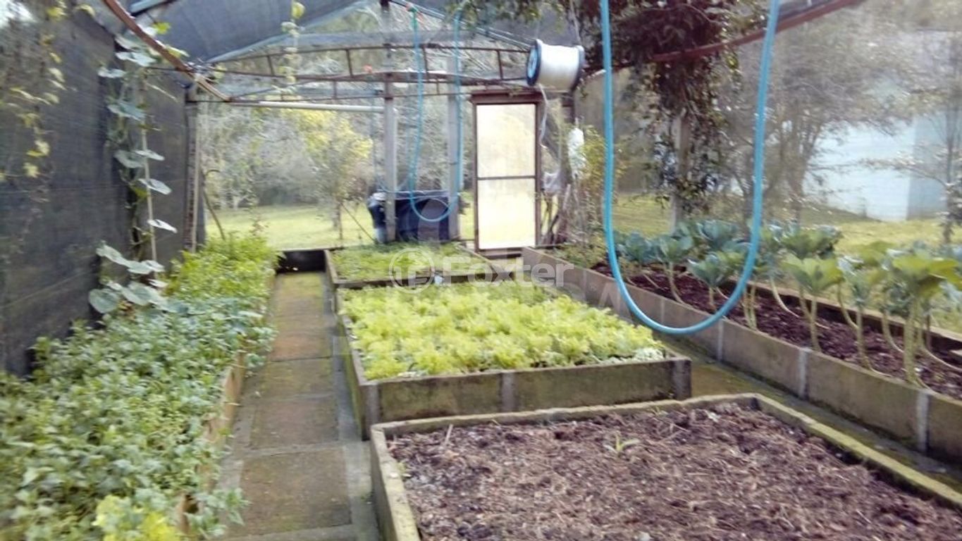 sitio chachara fazenda para comprar em Gedeon Leite, 2805 - foto 16