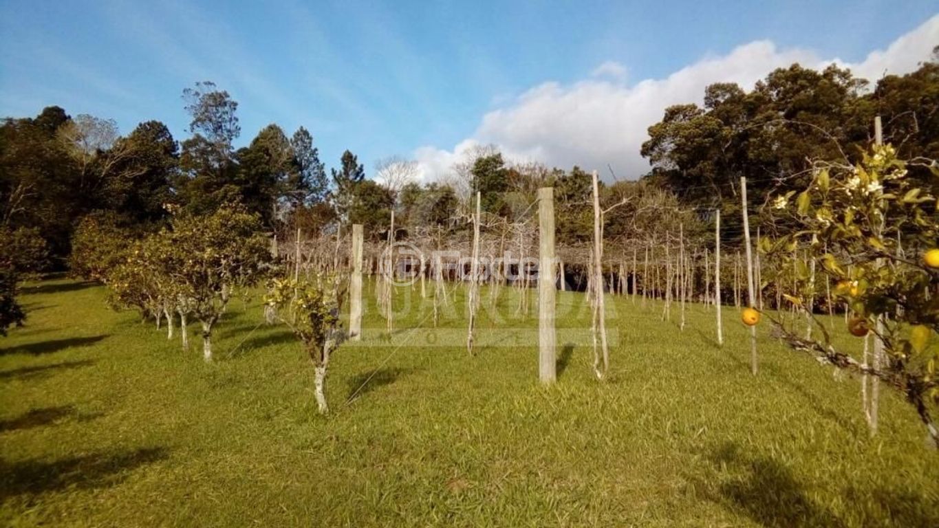 sitio chachara fazenda para comprar em Gedeon Leite, 2805 - foto 9