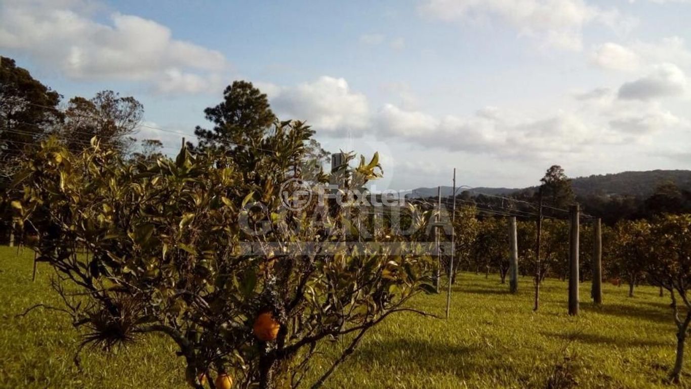 sitio chachara fazenda para comprar em Gedeon Leite, 2805 - foto 7
