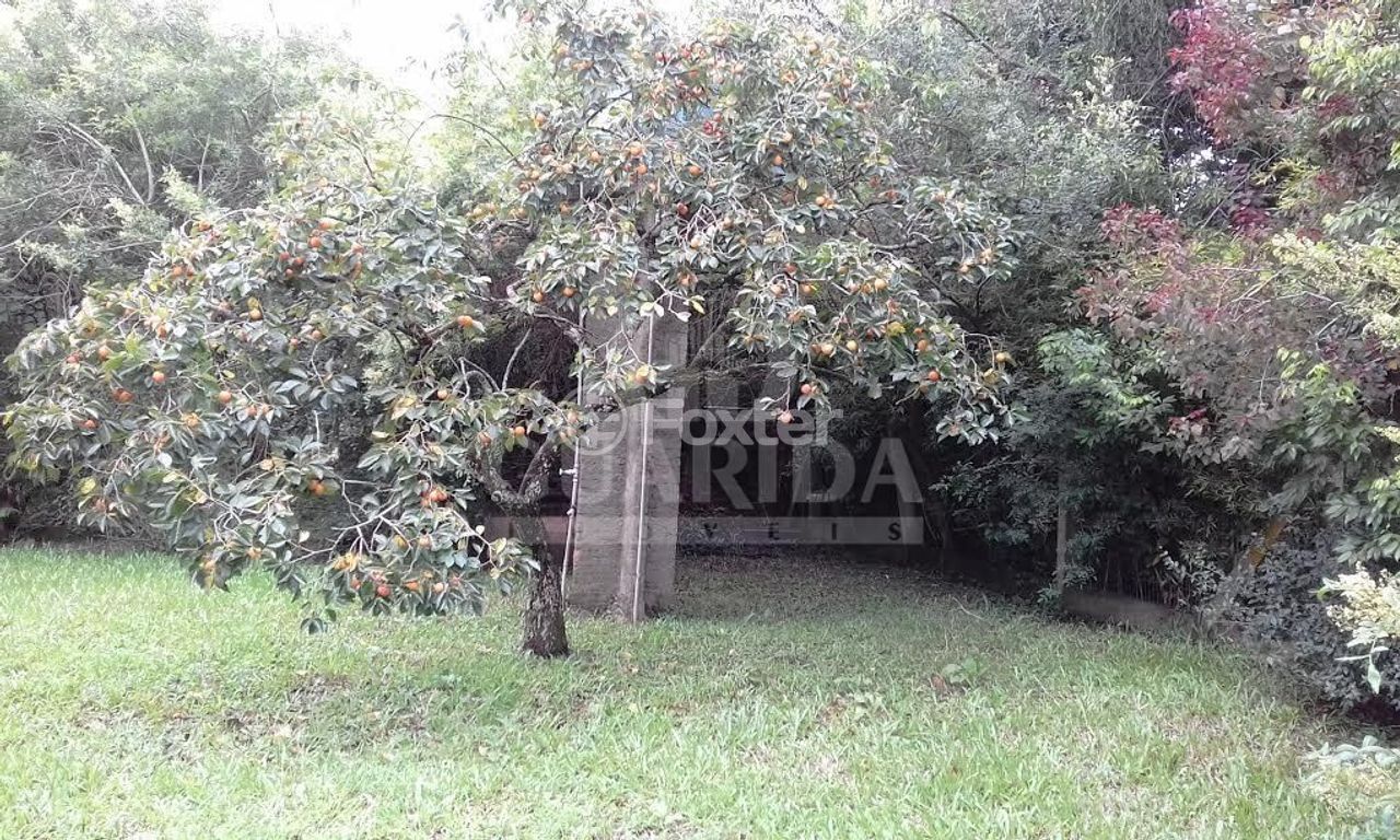 terreno lote condominio para comprar em Cristiano Kraemer, 2078 - foto 12