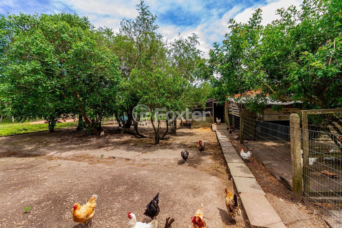 sitio chachara fazenda para comprar em Otaviano José Pinto, 5599 - foto 63